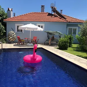 Apartment Misli - Heart Of And Newly Renovated