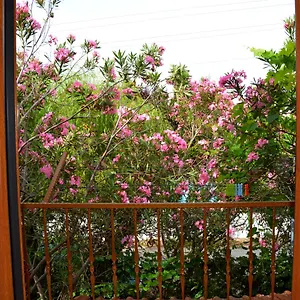 Villa Poseidon
